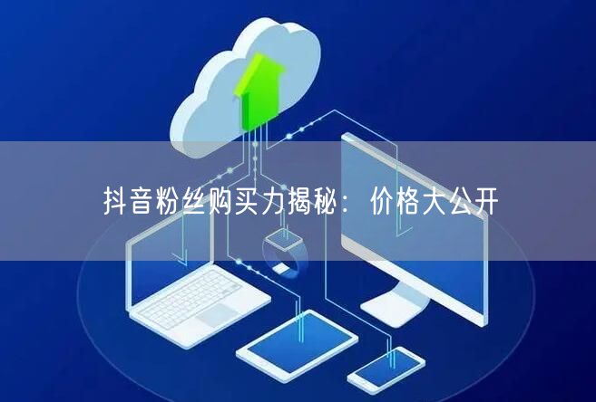 抖音粉丝购买力揭秘：价格大公开