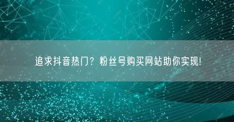 追求抖音热门？粉丝号购买网站助你实现!