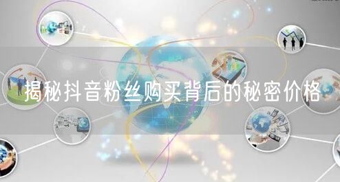 揭秘抖音粉丝购买背后的秘密价格