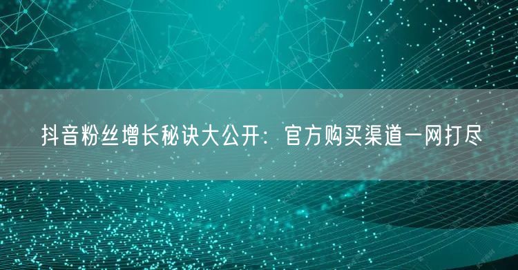 抖音粉丝增长秘诀大公开：官方购买渠道一网打尽