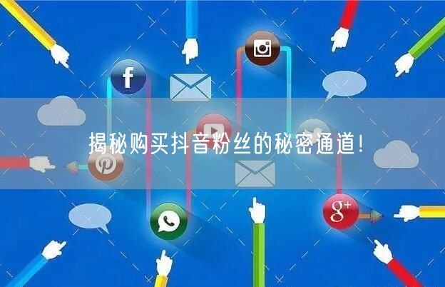 揭秘购买抖音粉丝的秘密通道！