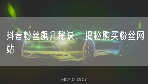 抖音粉丝飙升秘诀：揭秘购买粉丝网站