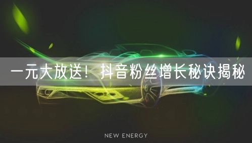 一元大放送！抖音粉丝增长秘诀揭秘