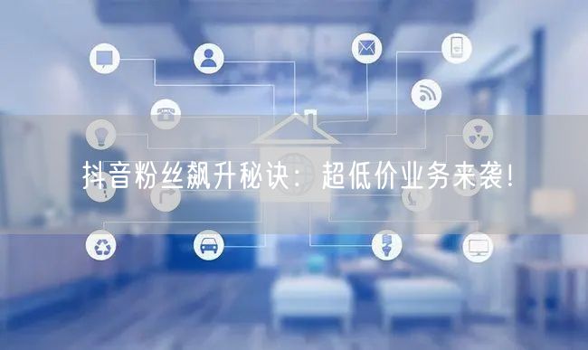 抖音粉丝飙升秘诀：超低价业务来袭！