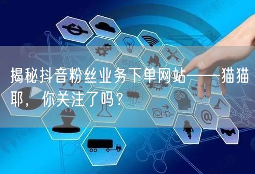 揭秘抖音粉丝业务下单网站——猫猫耶，你关注了吗？