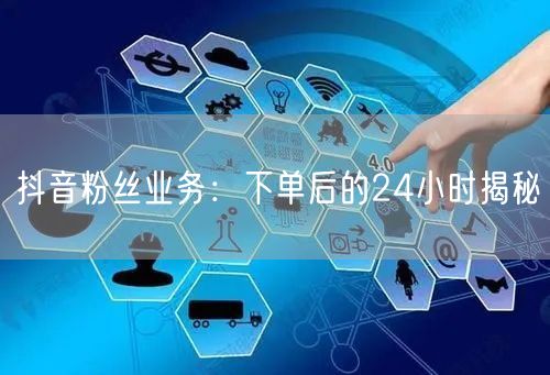 抖音粉丝业务：下单后的24小时揭秘
