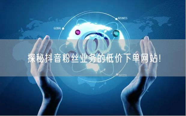 探秘抖音粉丝业务的低价下单网站！