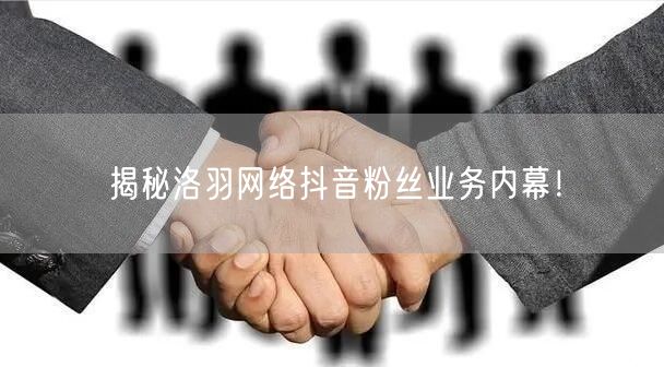 揭秘洛羽网络抖音粉丝业务内幕！