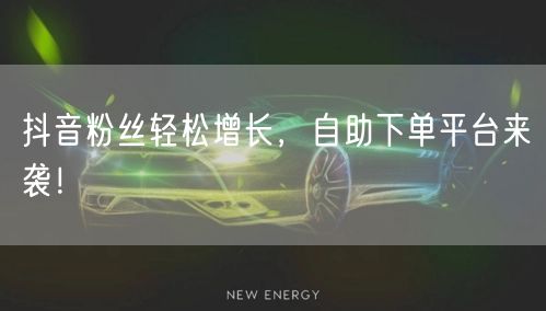抖音粉丝轻松增长，自助下单平台来袭！