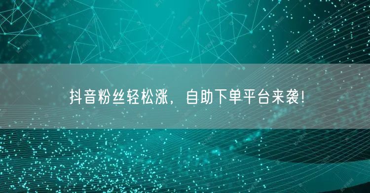 抖音粉丝轻松涨，自助下单平台来袭！