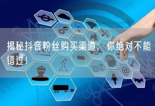 揭秘抖音粉丝购买渠道，你绝对不能错过！