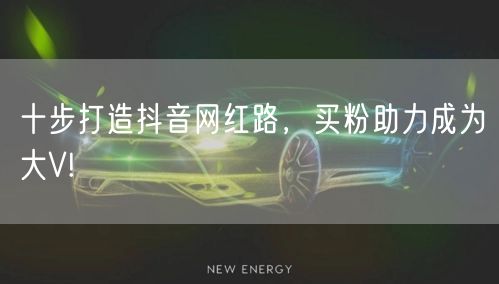 十步打造抖音网红路，买粉助力成为大V!