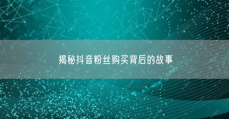 揭秘抖音粉丝购买背后的故事