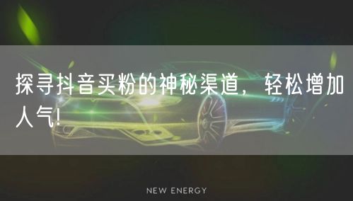 探寻抖音买粉的神秘渠道，轻松增加人气!