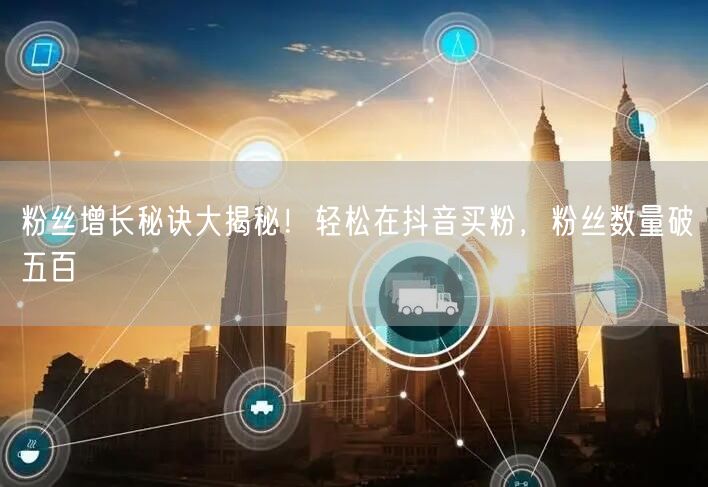 粉丝增长秘诀大揭秘！轻松在抖音买粉，粉丝数量破五百