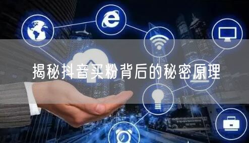 揭秘抖音买粉背后的秘密原理