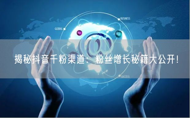 揭秘抖音千粉渠道：粉丝增长秘籍大公开！