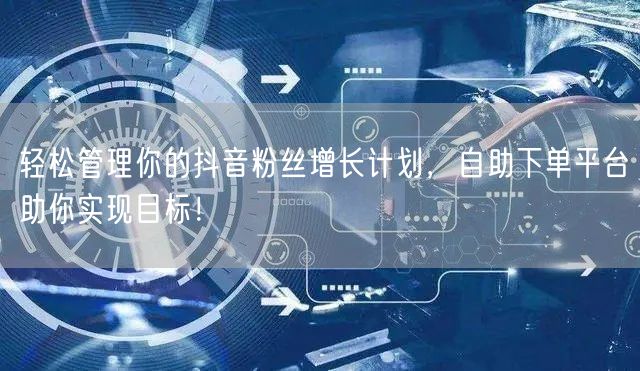 轻松管理你的抖音粉丝增长计划，自助下单平台助你实现目标！