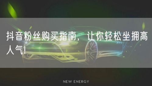 抖音粉丝购买指南，让你轻松坐拥高人气!
