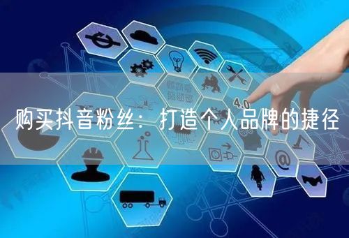 购买抖音粉丝：打造个人品牌的捷径