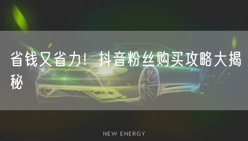 省钱又省力！抖音粉丝购买攻略大揭秘