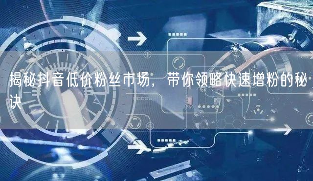揭秘抖音低价粉丝市场，带你领略快速增粉的秘诀